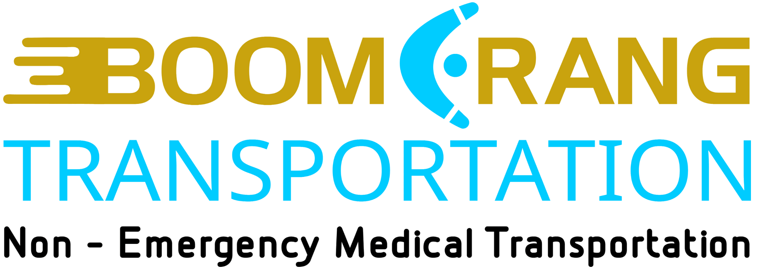 Wheelchair Transportation NJ | Non-Emergency Medical Transportation in New Jersey -Boomerang